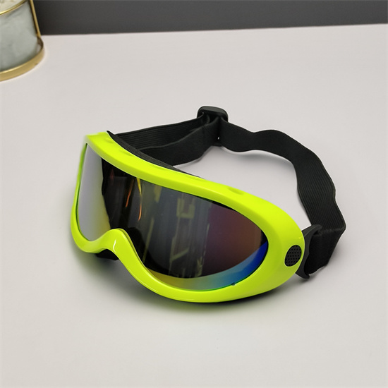 Oakley Ski Goggles 010